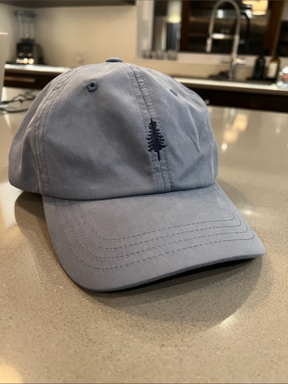 Tentree Light Blue Baseball Cap with Tree Logo